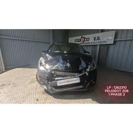 Mastervac PEUGEOT 208 1 Photo n°1