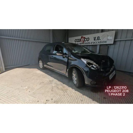 Mastervac PEUGEOT 208 1