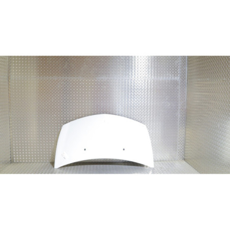 Capot RENAULT CLIO 3 Photo n°1