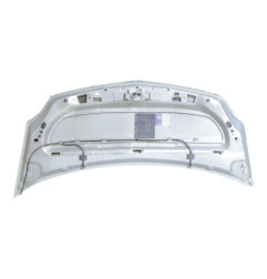 Capot RENAULT KANGOO 2 Photo n°4