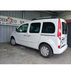 Mastervac RENAULT KANGOO 2 Photo n°8