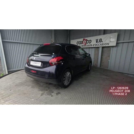 Mastervac PEUGEOT 208 1