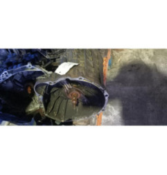 Boite de vitesses VOLKSWAGEN LT 2 Photo n°1