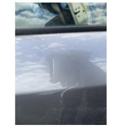 Porte arriere gauche RENAULT MEGANE 3