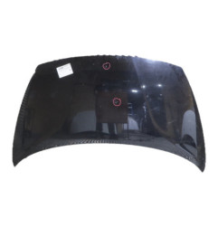 Capot KIA RIO 3 Photo n°1
