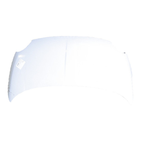 Capot FIAT 500 2 Photo n°1