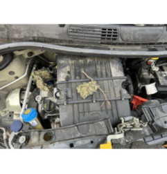 Feu arriere principal droit (feux) FIAT PANDA 3 Photo n°10