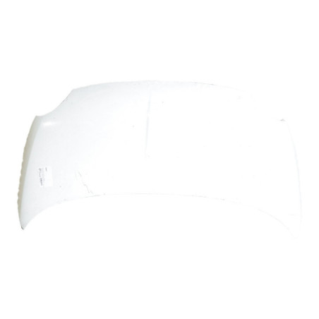 Capot FIAT 500 2 Photo n°1