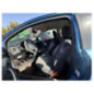 Levier de vitesses FORD KA 2