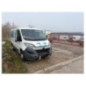 Calandre CITROEN JUMPER 3