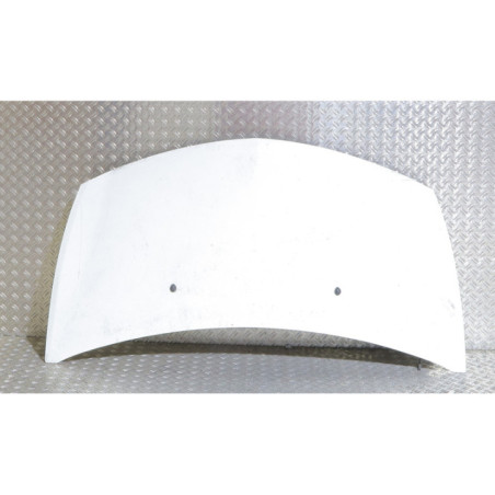 Capot RENAULT CLIO 3 Photo n°1