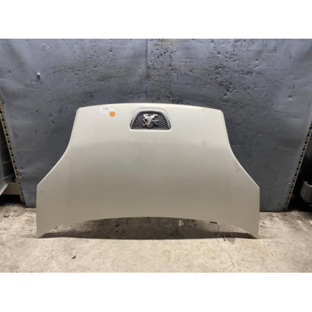 Capot PEUGEOT BIPPER Photo n°1