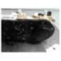 Commande chauffage FIAT STRADA