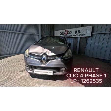 Custode arriere gauche RENAULT CLIO 4 Photo n°1