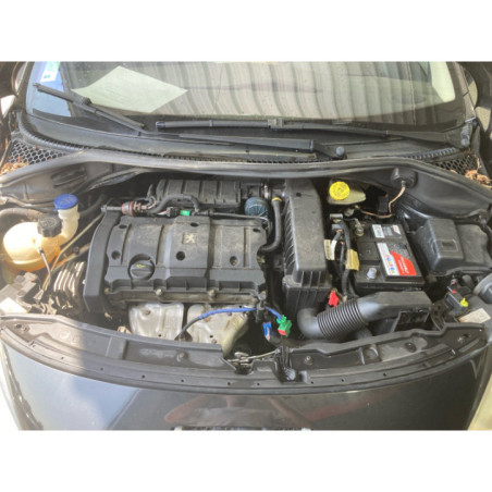 Mastervac PEUGEOT 207
