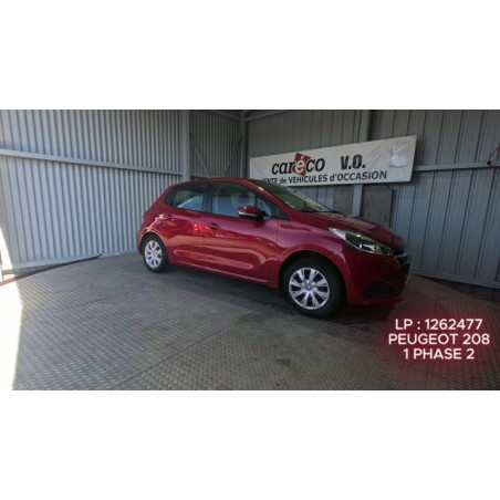 Mastervac PEUGEOT 208 1