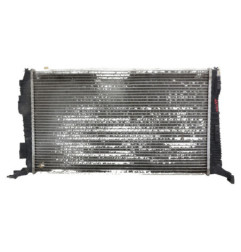 Radiateur eau DACIA DUSTER 1 Photo n°1