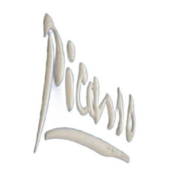 Aile avant gauche CITROEN C4 PICASSO 1 Photo n°3