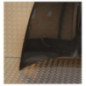Capot CITROEN DS5