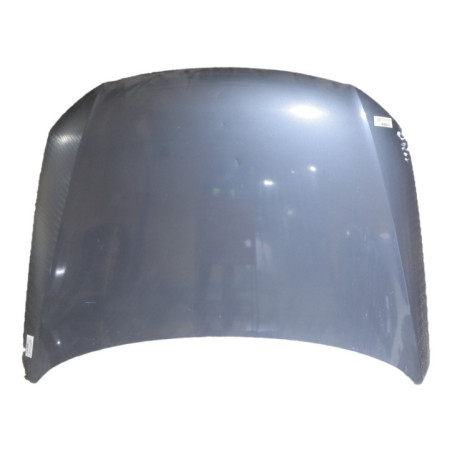 Capot VOLKSWAGEN PASSAT 5 Photo n°1