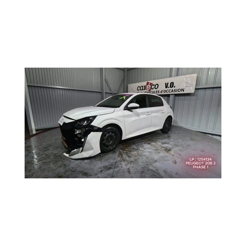 Mastervac PEUGEOT 208 2