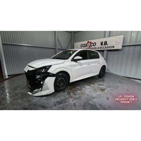 Mastervac PEUGEOT 208 2 Photo n°1