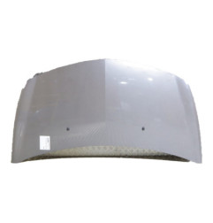 Capot RENAULT CLIO 3 Photo n°1