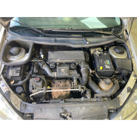 Mastervac PEUGEOT 206