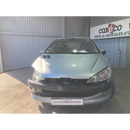 Mastervac PEUGEOT 206 Photo n°1