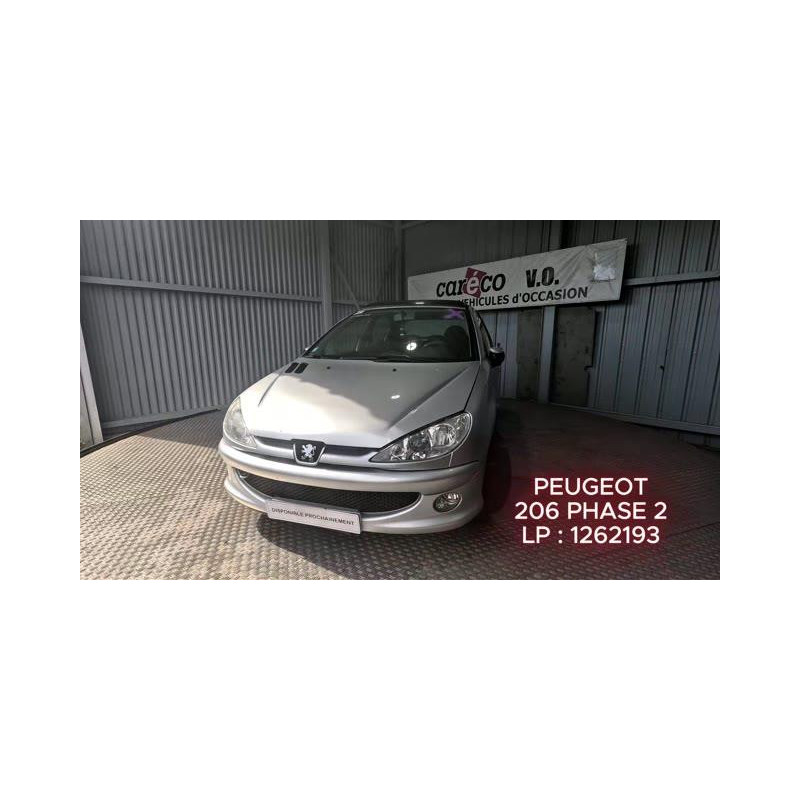 Mastervac PEUGEOT 206
