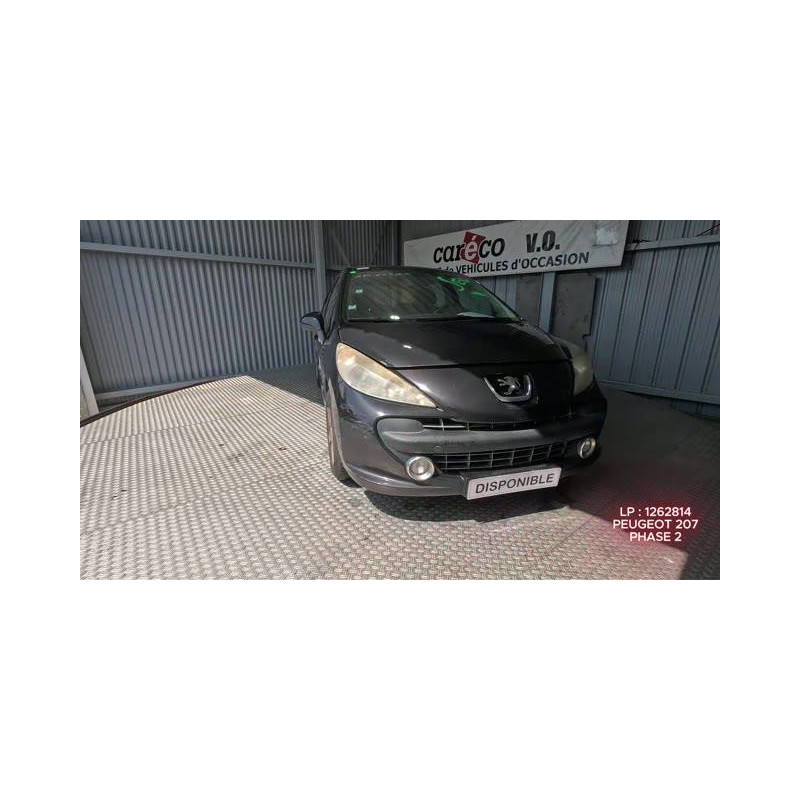 Capot PEUGEOT 207