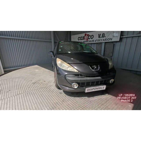 Mastervac PEUGEOT 207 Photo n°1