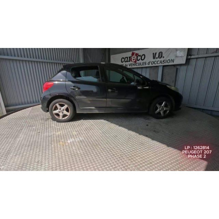 Mastervac PEUGEOT 207