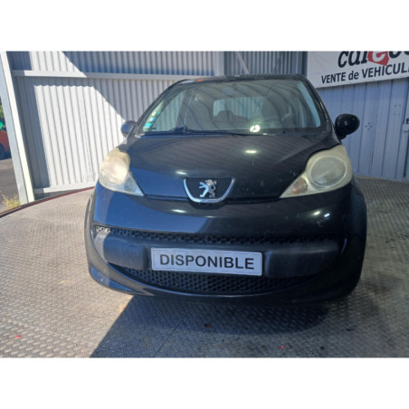 Mastervac PEUGEOT 107
