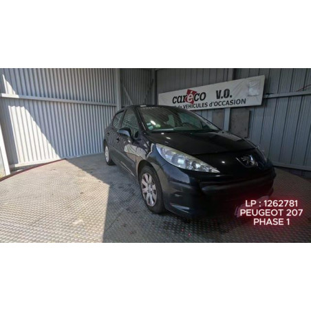Mastervac PEUGEOT 207 Photo n°1