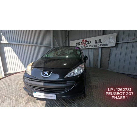 Mastervac PEUGEOT 207