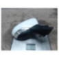 Retroviseur droit RENAULT CLIO 4