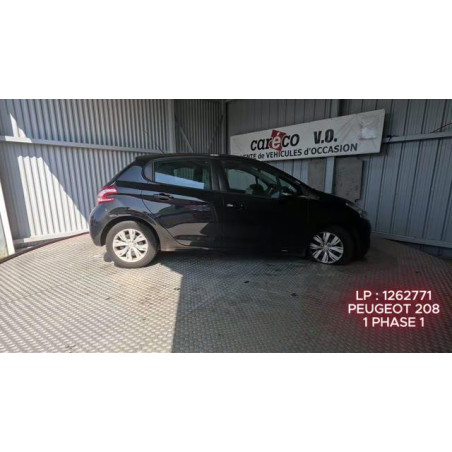 Mastervac PEUGEOT 208 1