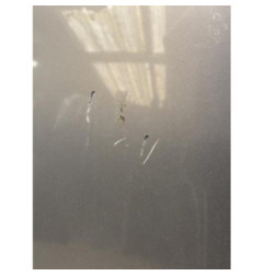 Capot VOLVO V 50 Photo n°1