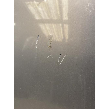 Capot VOLVO V 50 Photo n°1