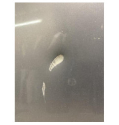 Capot VOLVO V 50 Photo n°3