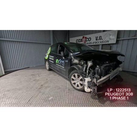 Mastervac PEUGEOT 308 1 Photo n°1