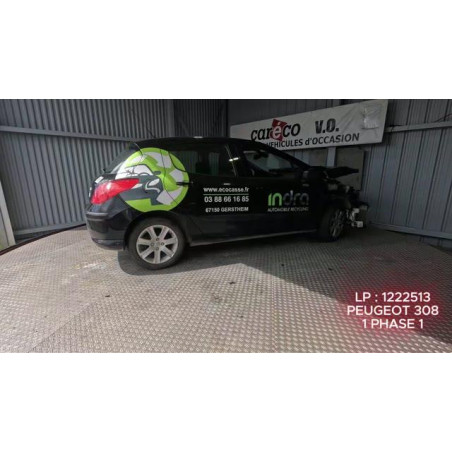 Mastervac PEUGEOT 308 1