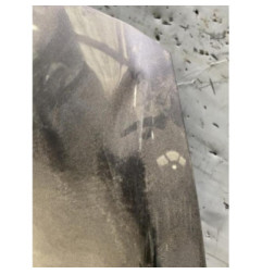 Capot FORD KA+ Photo n°3