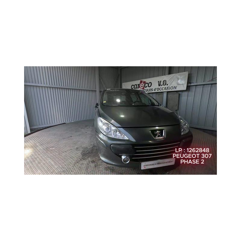 Mastervac PEUGEOT 307