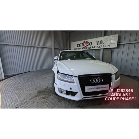 Custode arriere gauche AUDI A5 1 Photo n°1