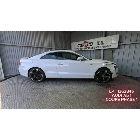 Custode arriere gauche AUDI A5 1