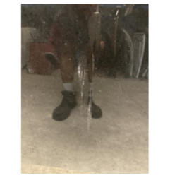 Capot RENAULT CLIO 3 Photo n°1