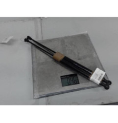 Verin de capot RENAULT SCENIC 3