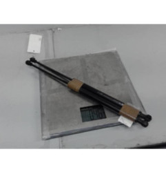 Verin de capot RENAULT SCENIC 3 Photo n°3